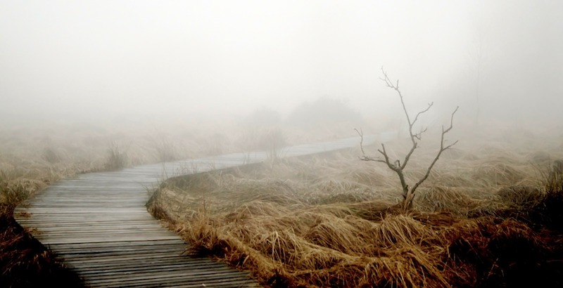 foggy boardwalk with man walking away in the distance